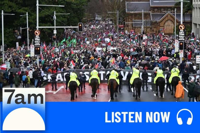 Thumbnail for A collective howl of protest on the Harbour Bridge