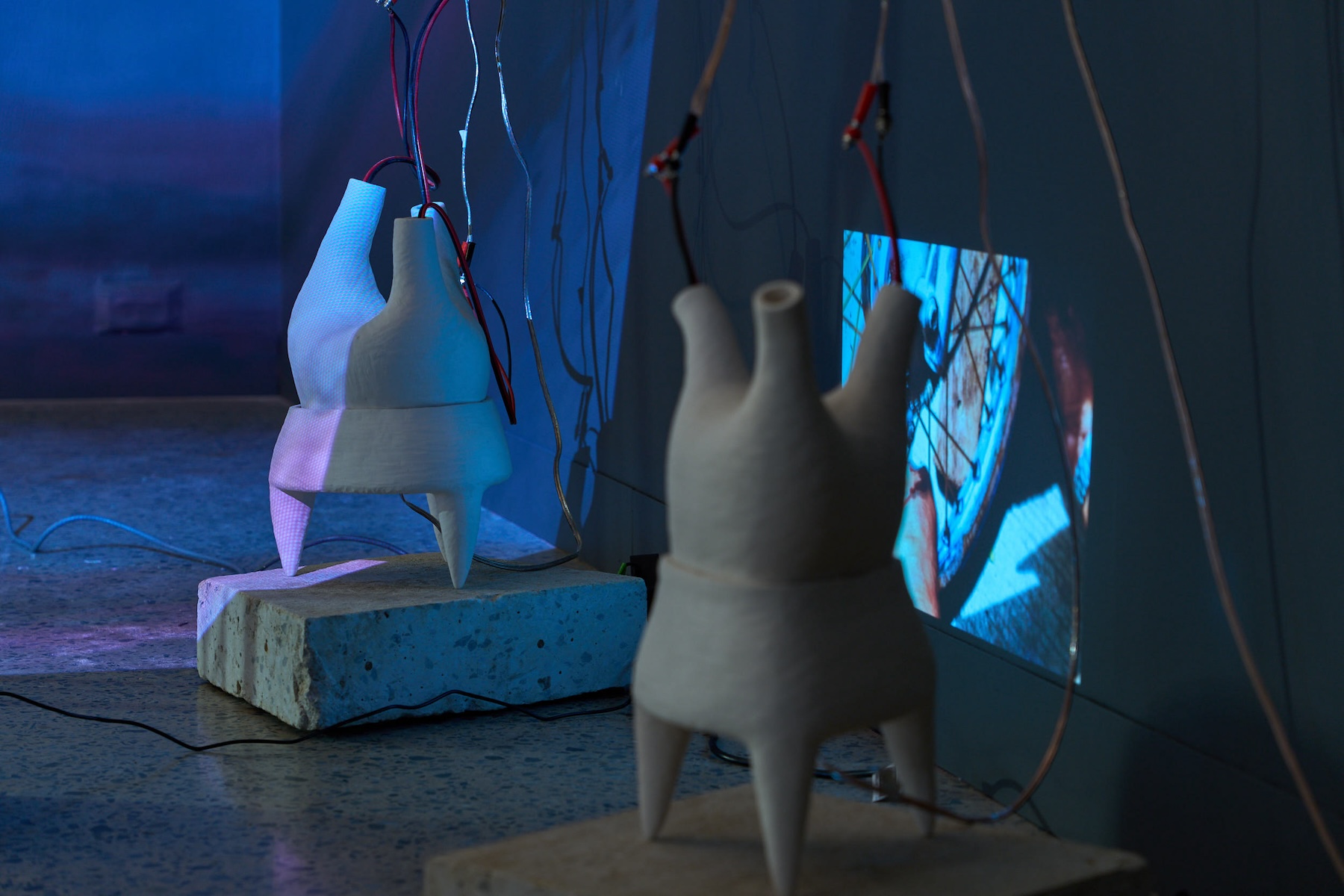 Installation view: Mark Valenzuela, Bantay-Salakay, Adelaide Contemporary Experimental. Photo: Sam Roberts / Supplied