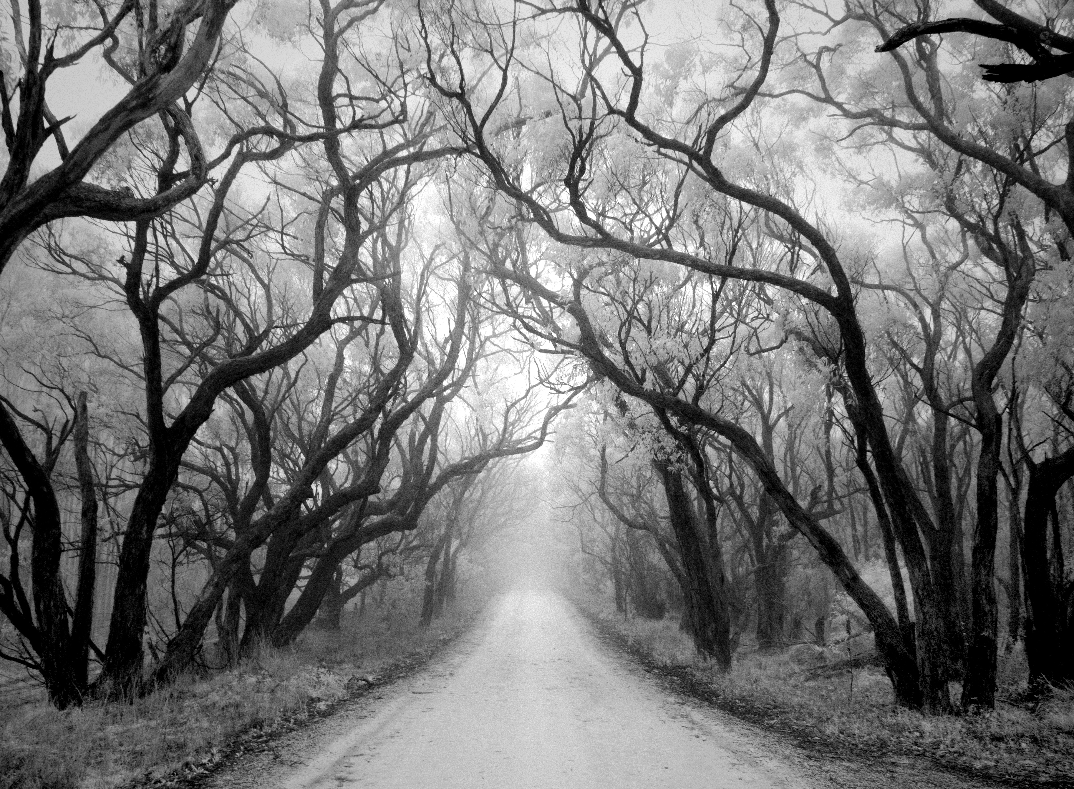 Go in there (infra-red)