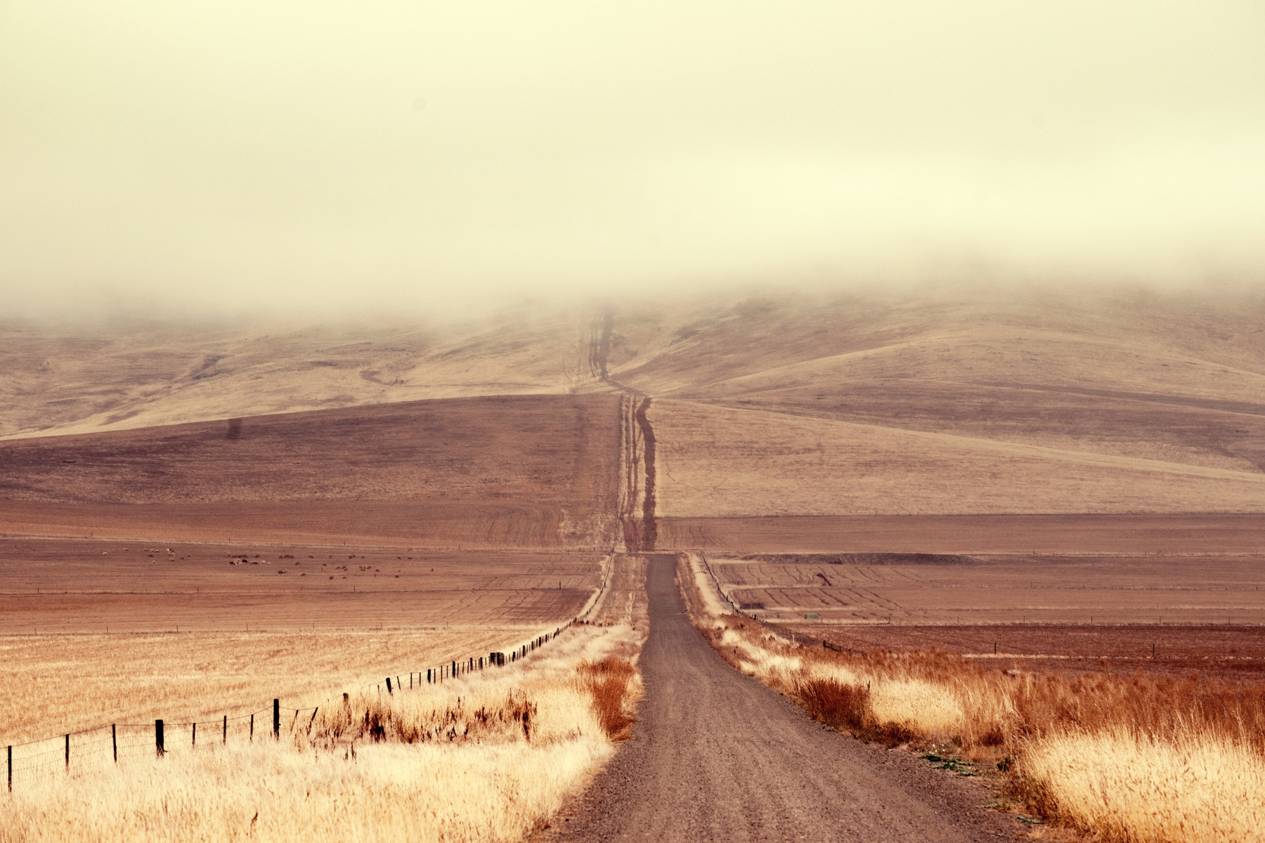 The back road to Yunta