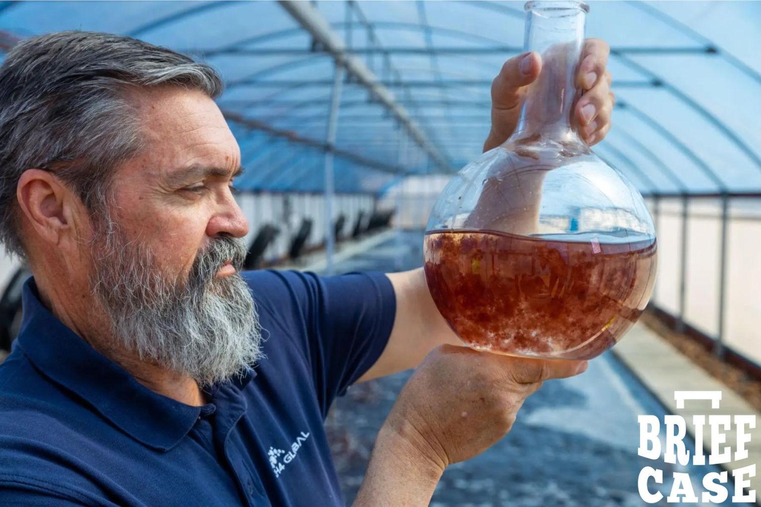 An Australian seaweed production plant is being used to drive down methane emissions. Image: Supplied/Hughes PR