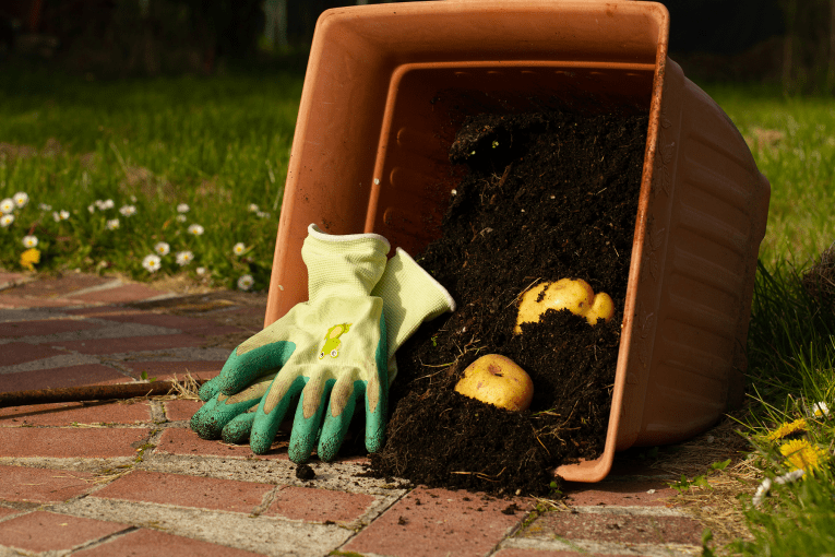 Thumbnail for Queensland falls behind on organic waste targets