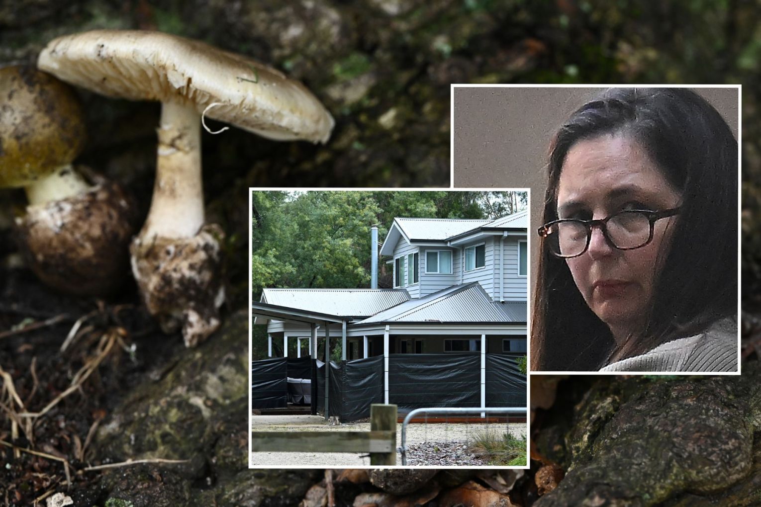 Erin Patterson has been sentenced to life in prison after murdering three lunch guests with deadly mushrooms. Picture: James Ross, Joel Carrett/AAP Photos