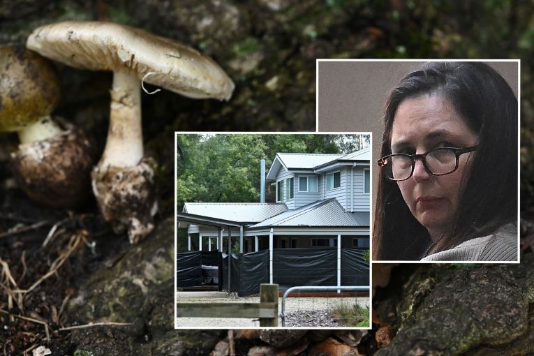 Thumbnail for Mushroom murderer returns to court as sentencing looms