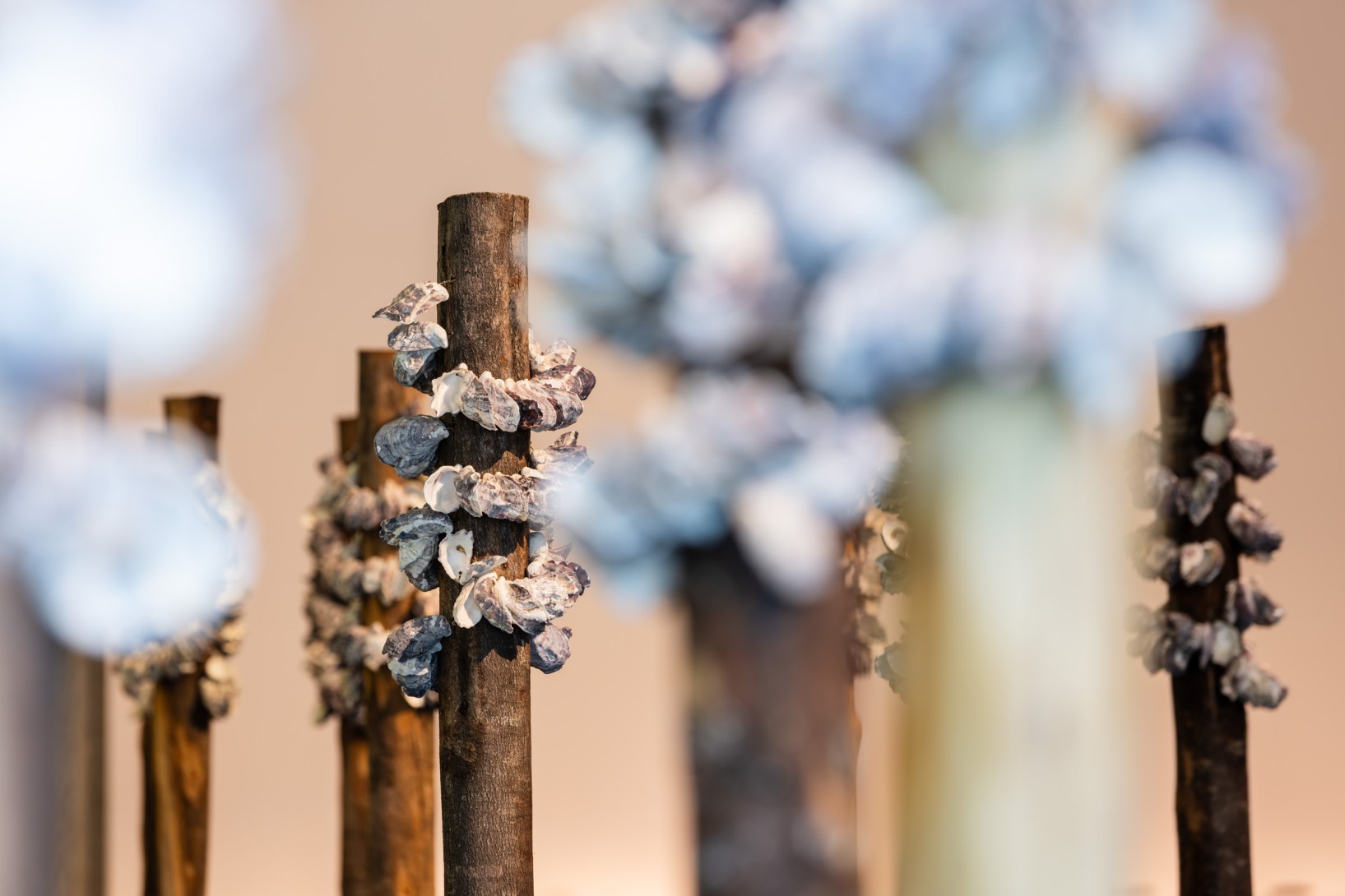 Megan Cope's  Kinyingarra Poles - one of the works showing in a suite of exhibitions at  UQ Art Museum. Photo: Joe Ruckli