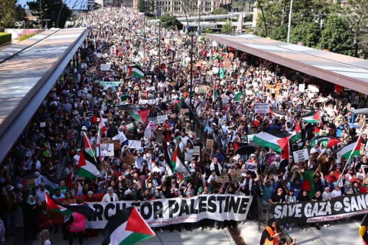 Brisbane's march on Sunday was the largest pro-Palestinian protest in the city's history.
