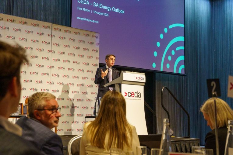 Thumbnail for Renewables transition requires gas, says state energy boss