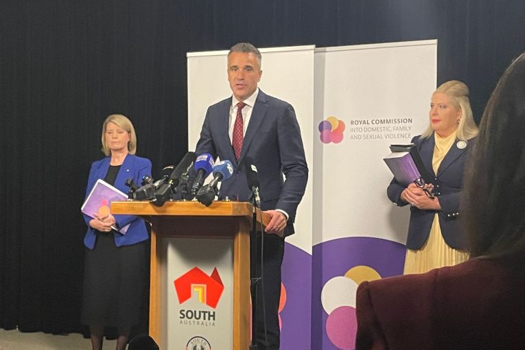 Thumbnail for Addressing ‘a real failure’: 136 changes needed as SA’s DV horror laid bare
