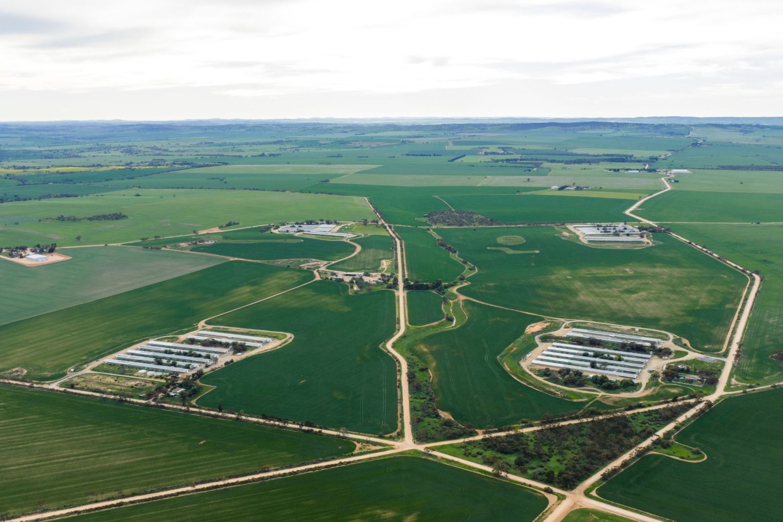 Southern Cross Farms operates one of the country’s largest free-range broiler farms. Photo: Colliers