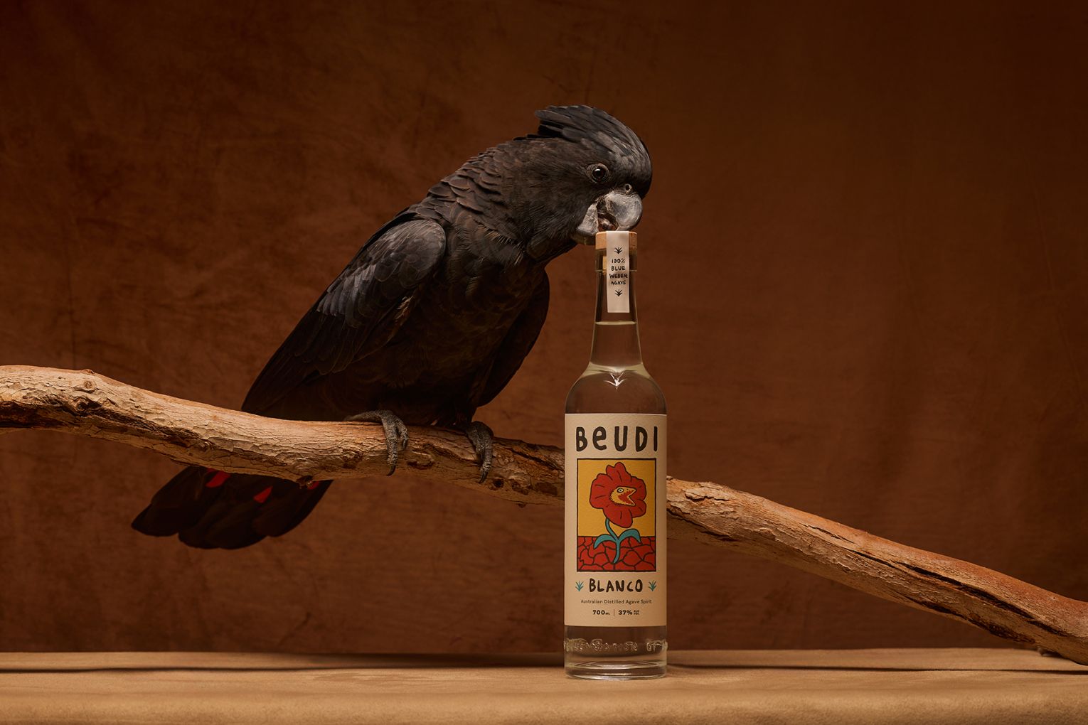 Beudi, Photo: Jessie Prince