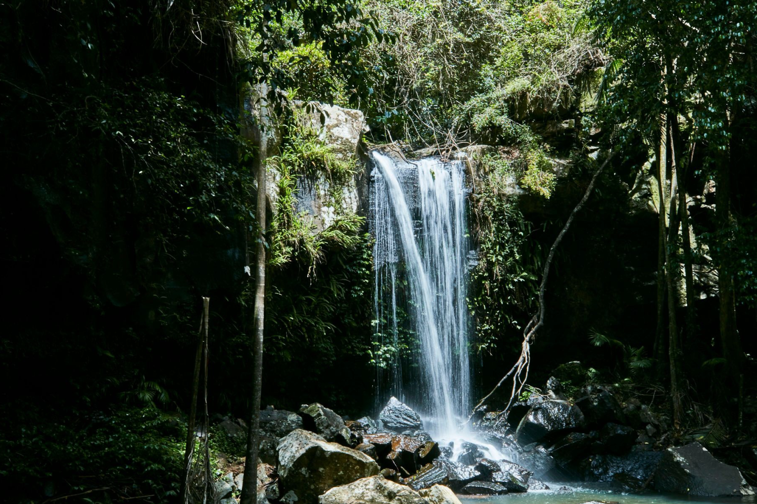 Curtis Falls