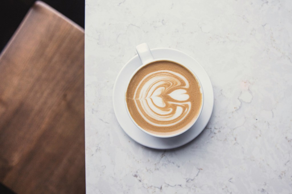 Thumbnail for Figtree Social is set to offer a modern take on Australian cafe dining at Yeerongpilly Green