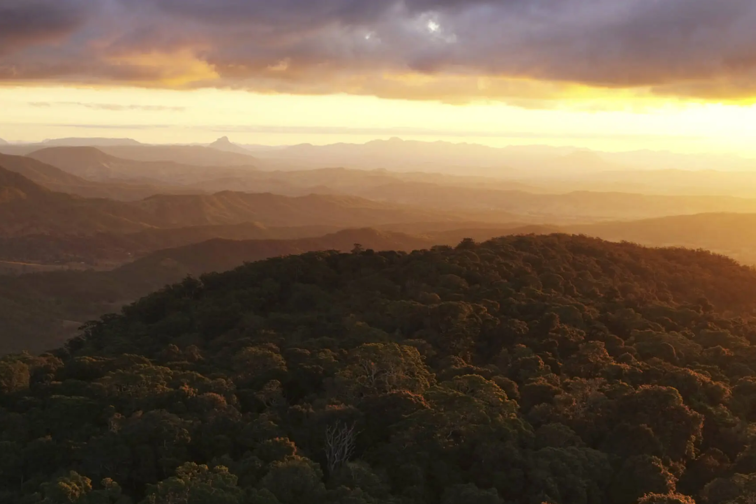 Sunset view over the Gold Coast rainforest hinterland from O’Reilly’s, courtesy of Destination Gold Coast