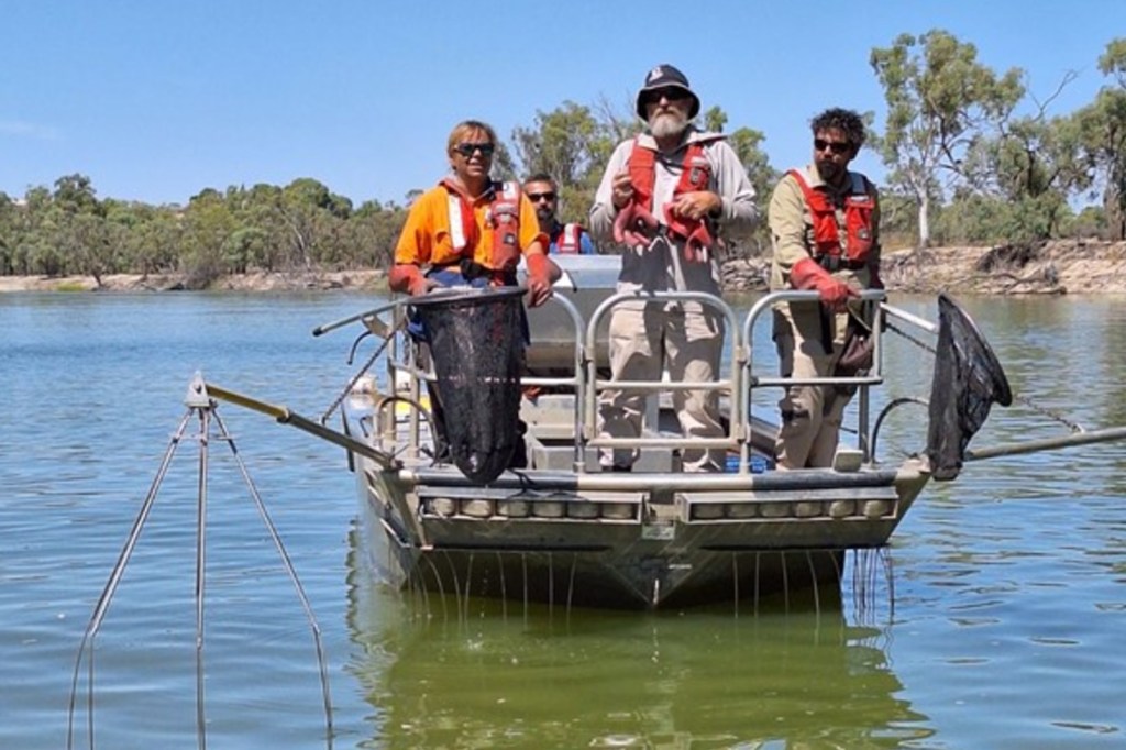 Collaboration supports the flow of culture and knowledge