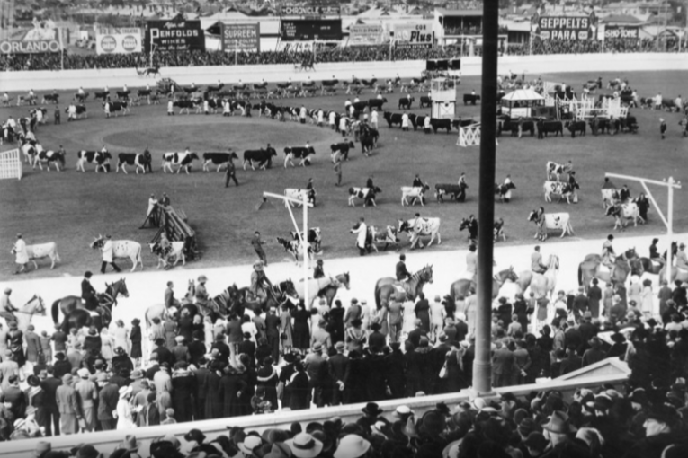 Thumbnail for The Royal Adelaide Show is grounded in history