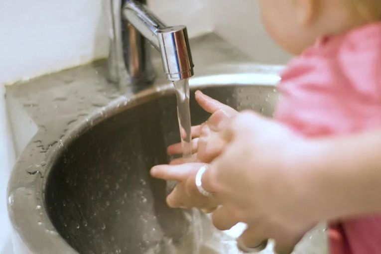 Thumbnail for Explained: Rare ‘brain-eating amoeba’ in Qld water