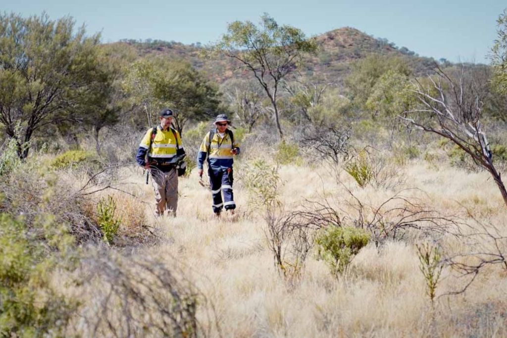 Winners and Losers: Emerging minerals firm spikes