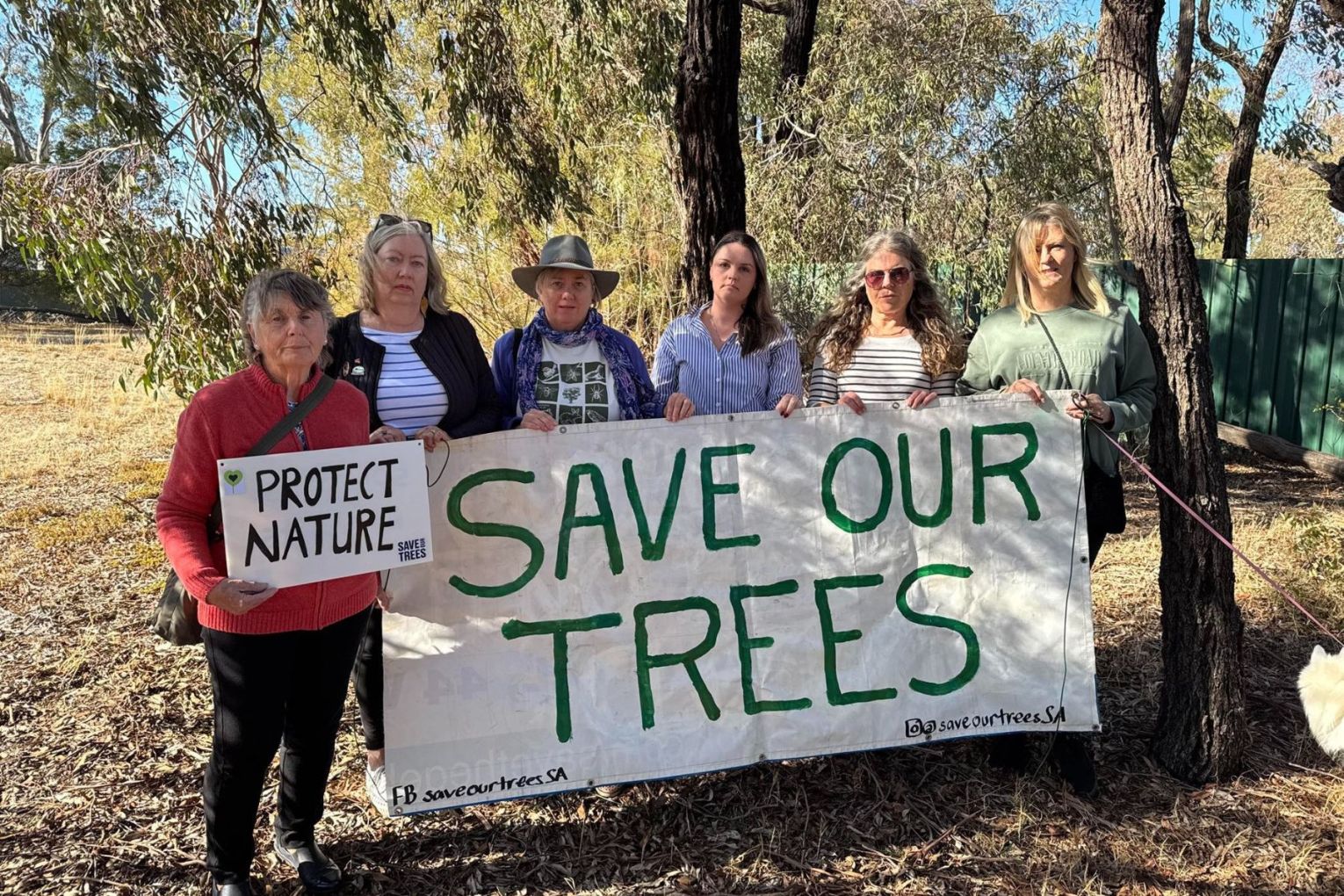 Community group Save Our Trees was concerned about losing significant trees at the reserve. Photo: Save Our Trees/Facebook