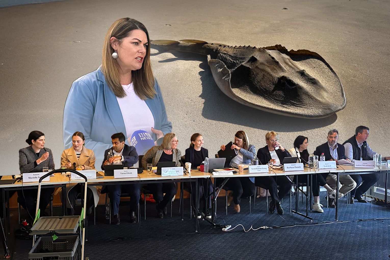 SA's first algal bloom public meeting in the federal inquiry was held at Seacliff this morning. It was chaired by federal Greens Senator Sarah Hanson-Young. 