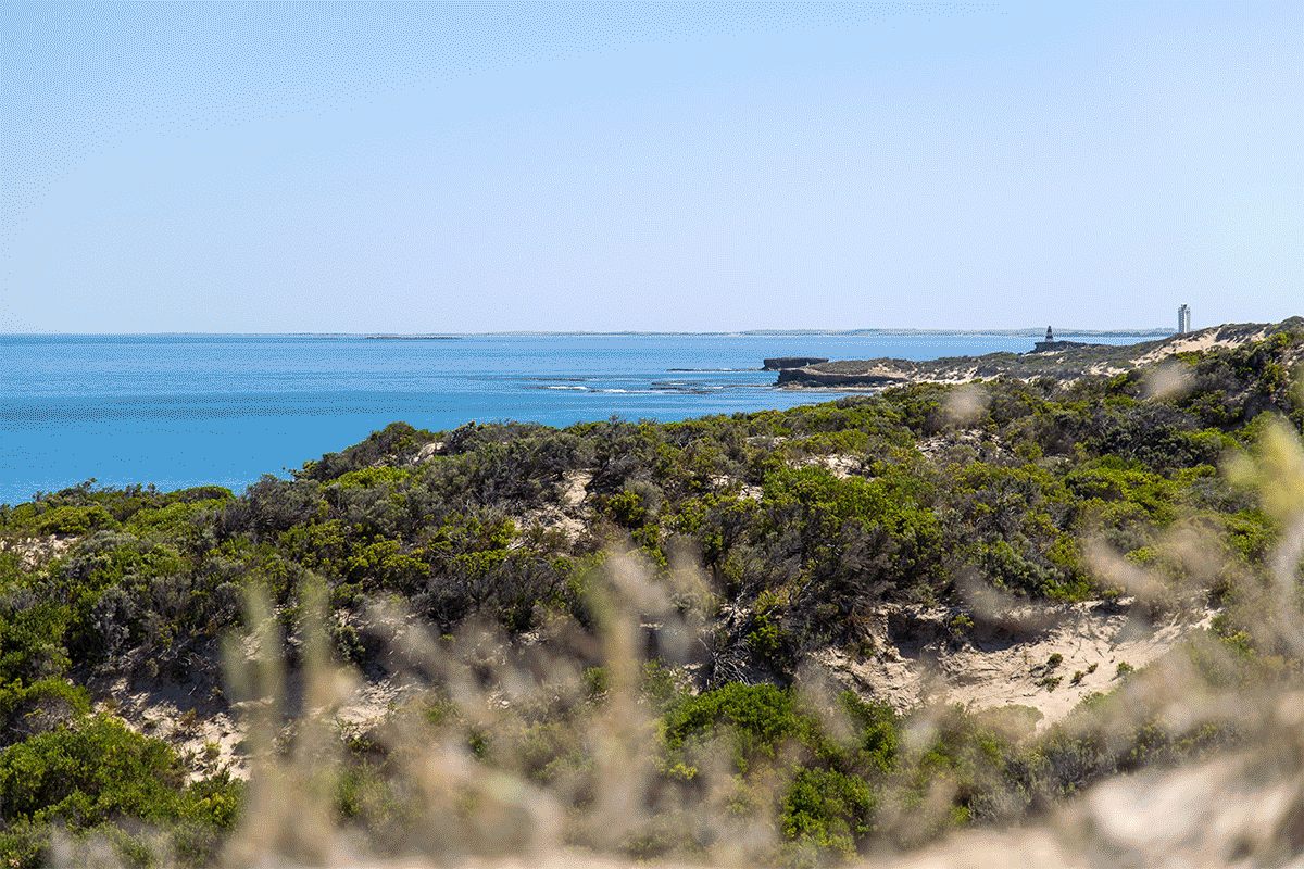 CityMag’s get-out guide