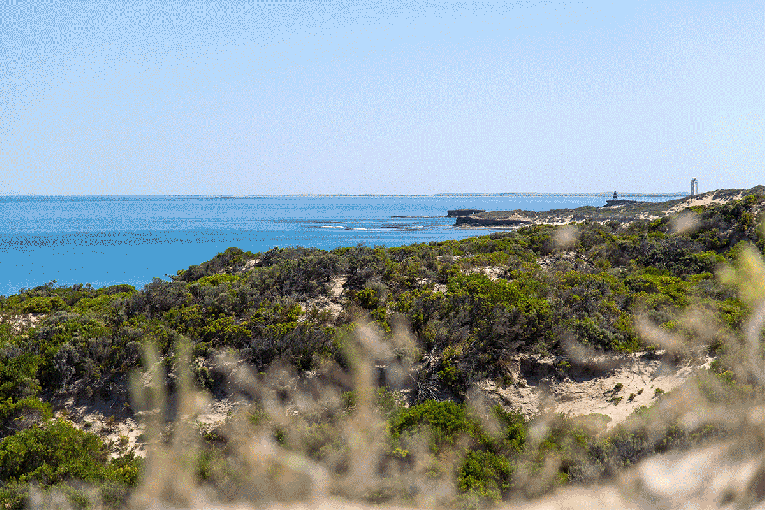 Thumbnail for CityMag’s get-out guide