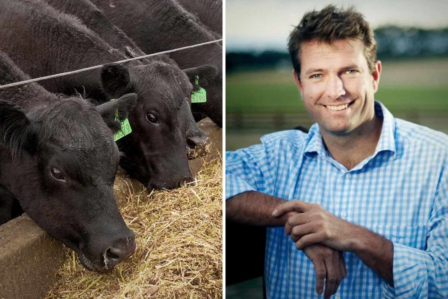 Thomas Foods International managing director Darren Thomas.