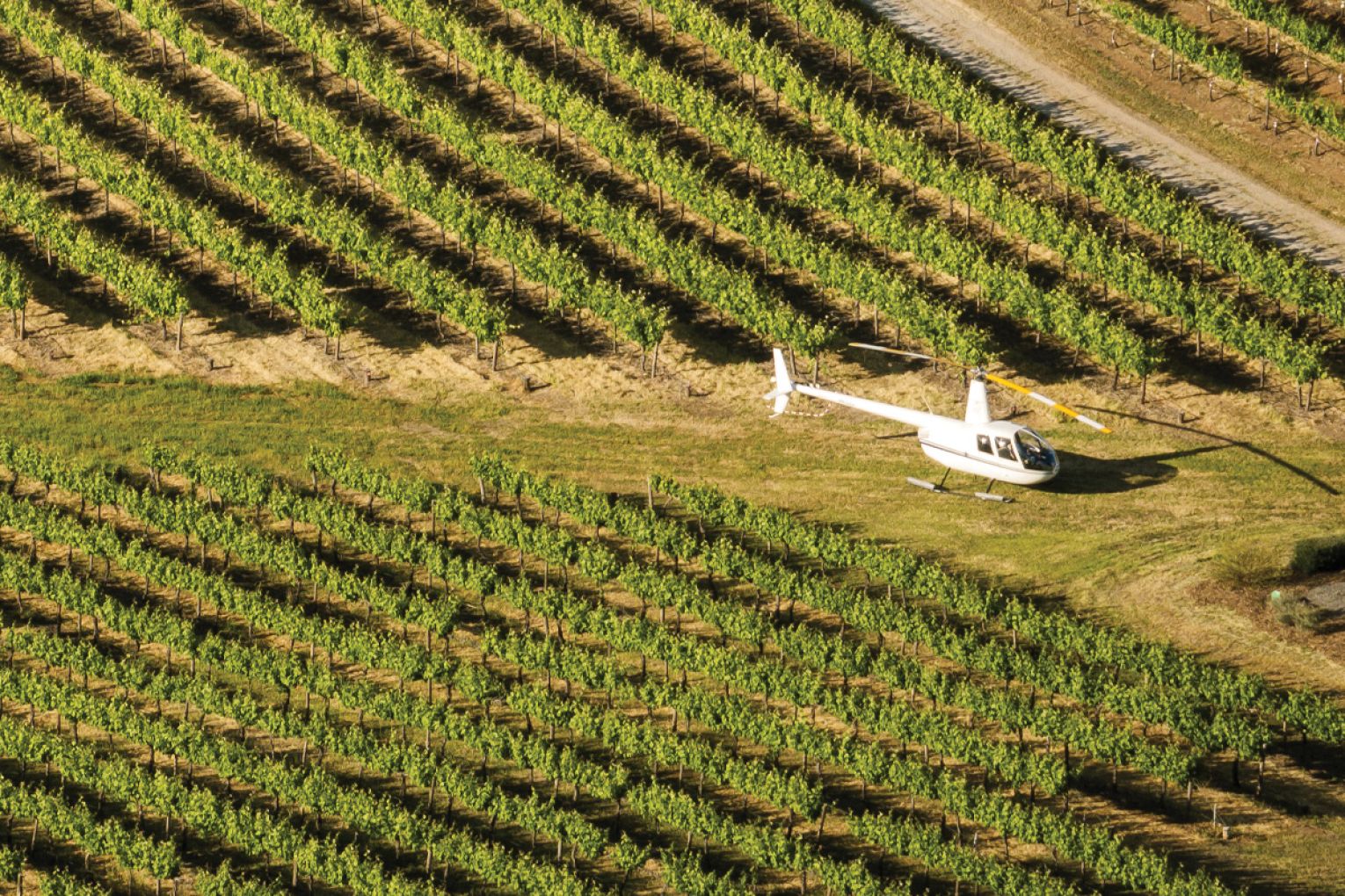 Ascend A Wine Odyssey.