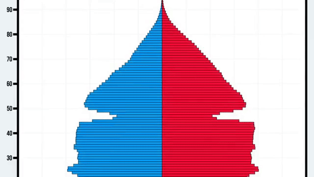 The Stats Guy: Why I love population pyramids, but never use them