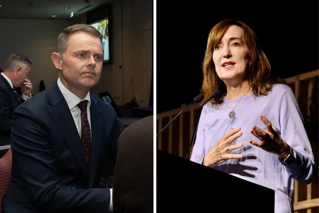 Two of SA’s most senior cabinet ministers call it quits