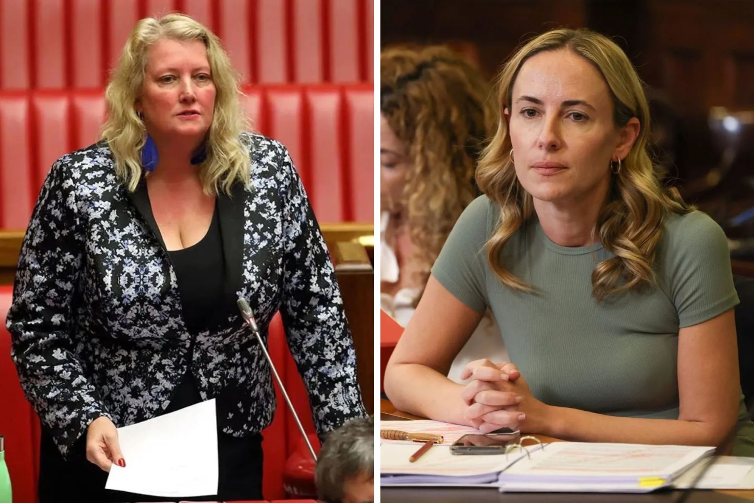 Legislative councillor Tammy Franks has called Sarah Game's late-term abortion bill "a step backwards" to a time where women were forced into early-term abortions as Game gears up for a conscience vote. Photos: Tony Lewis/InDaily