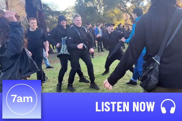 Thumbnail for How a mainstream march gave cover to neo-Nazis
