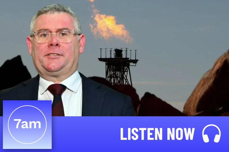 Thumbnail for Murray Watt on our broken environmental laws
