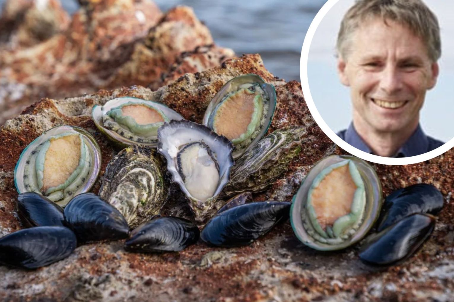 Yumbah is one of the state's major producers of abalone. Photo: Yumbah