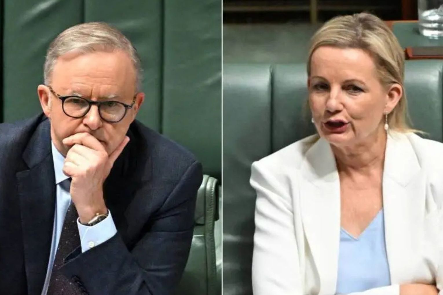 Australia's 2035 emissions target will shape the country's energy transition and liveable climate.