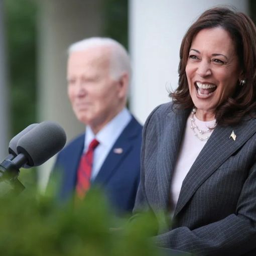 Thumbnail for Harris: Allowing Biden to run in 2024 was reckless