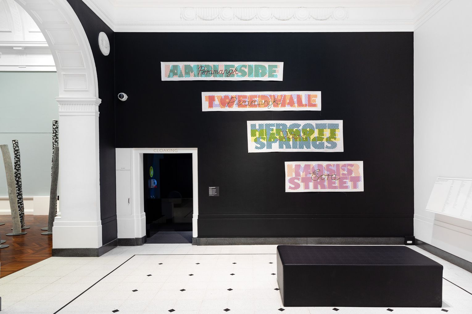 Installation view: Troy-Anthony Baylis: Nomenclatures by Troy-Anthony Baylis, Art Gallery of South Australia, Adelaide. Photo: Saul Steed / Supplied.
