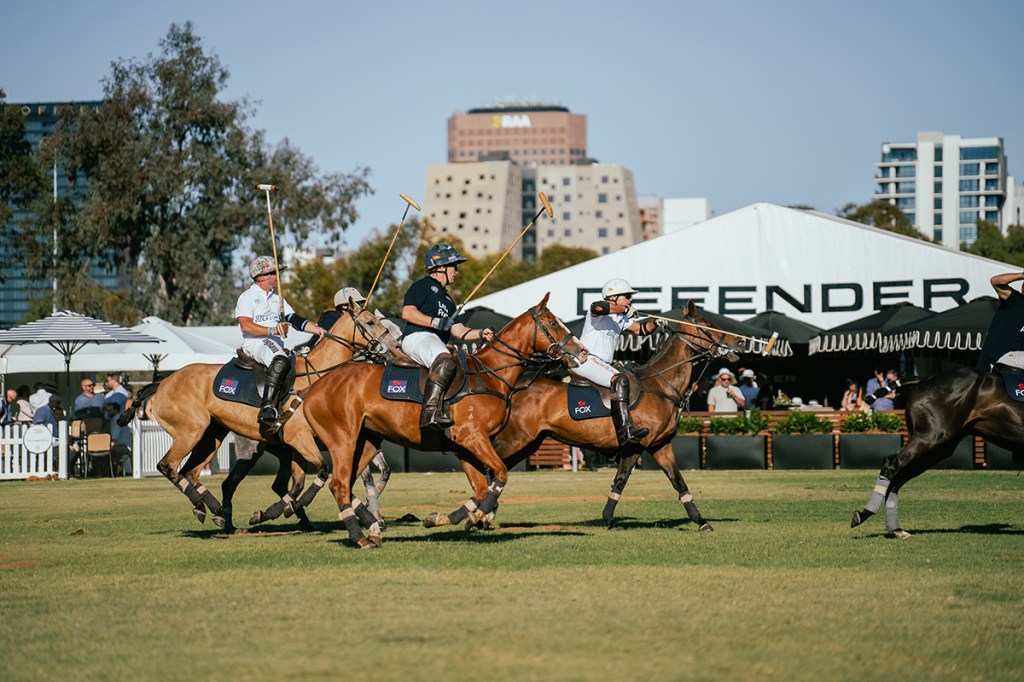 Have you experienced The Adelaide Polo Classic yet?