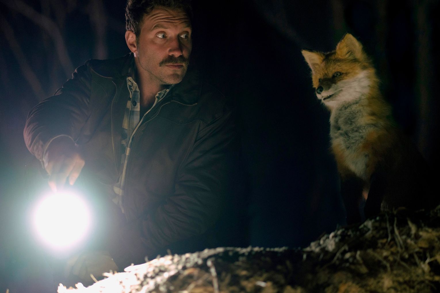 Jai Courtney stars opposite a talking fox in director Dario Russo's feature debut The Fox. Photo: Supplied