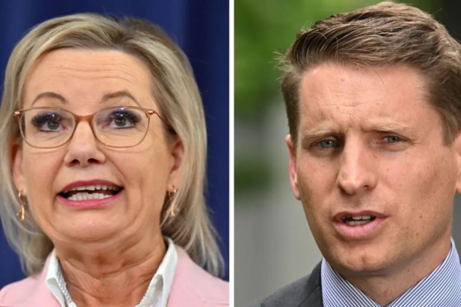 Andrew Hastie is reportedly angling to remove Sussan Ley as Liberal leader. 