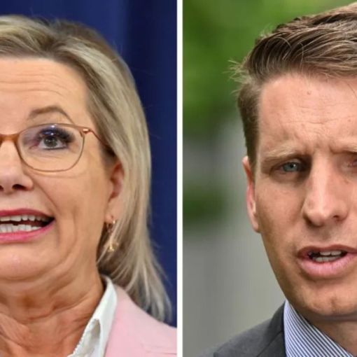 Thumbnail for Senior Liberal threatens to quit over net zero 