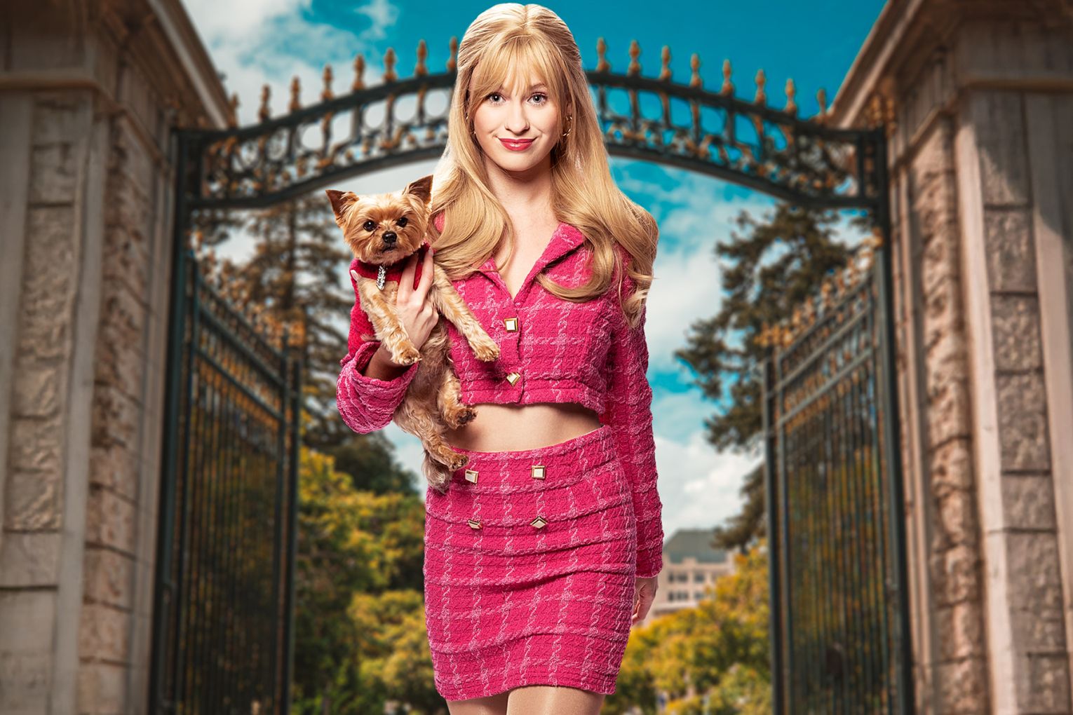 Legally Blonde The Musical 