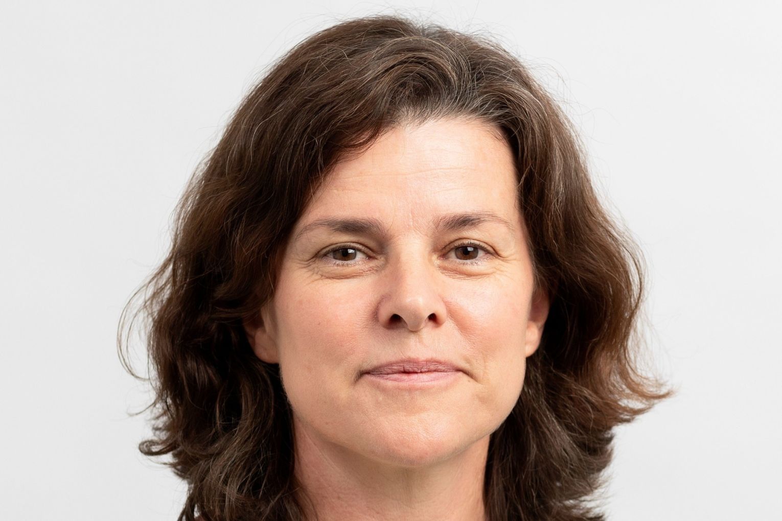 Belinda Castles assembles a coterie of writers to take us walking in Sydney.