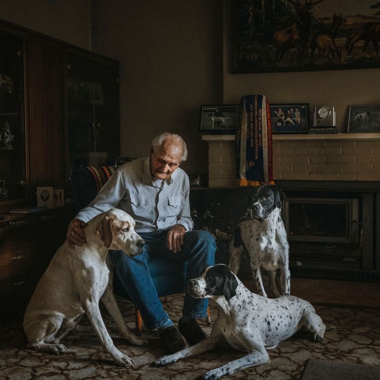 Thumbnail for Green Room: Top dogs at Roche gallery | SALA award winners | UKARIA’s Stradivari gift