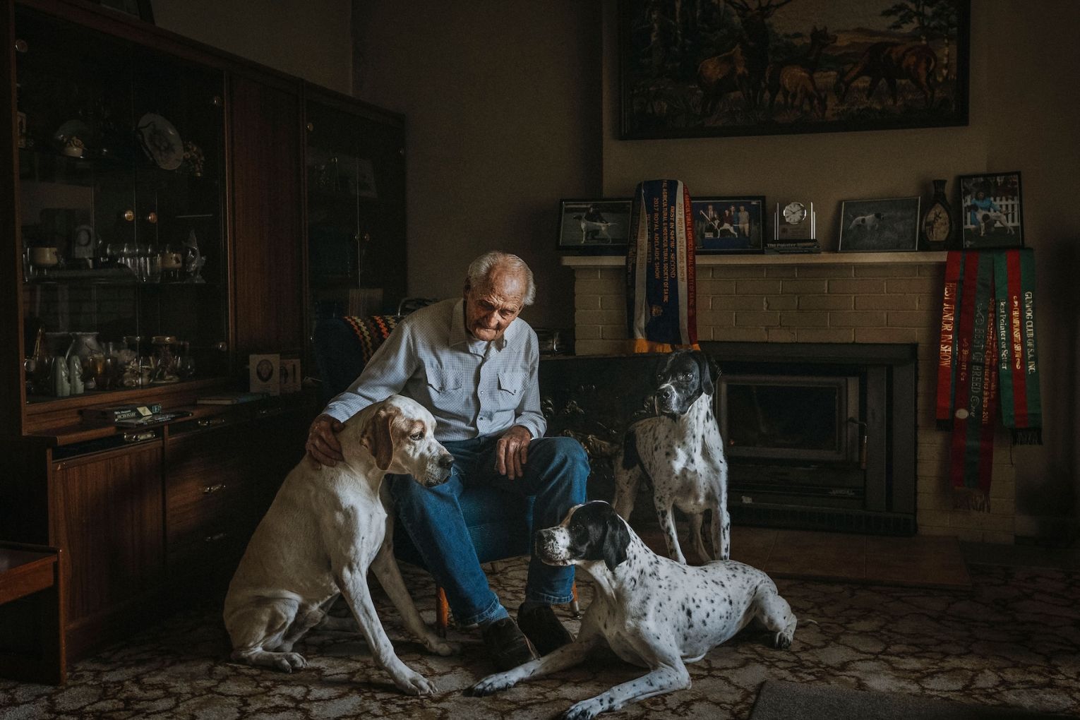 Thumbnail for Green Room: Top dogs at Roche gallery | SALA award winners | UKARIA’s Stradivari gift