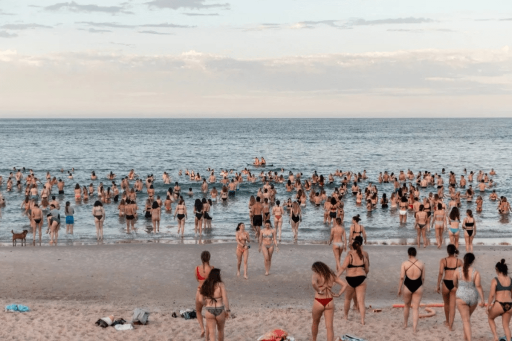 ‘Loss of our sense of self’: inquiry reveals emotional impact of SA’s algal bloom