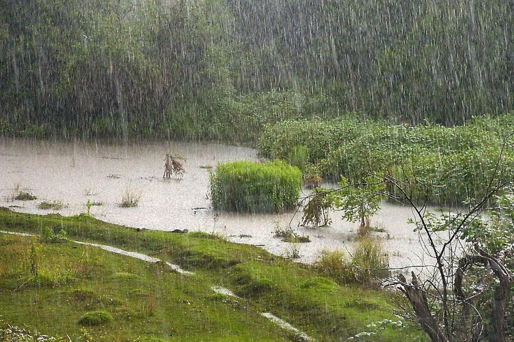 Poems: Winter, and The Bremer in Summer Rain