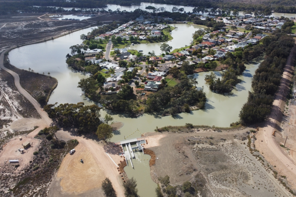 Murray cod and turtles set free in multimillion-dollar fix