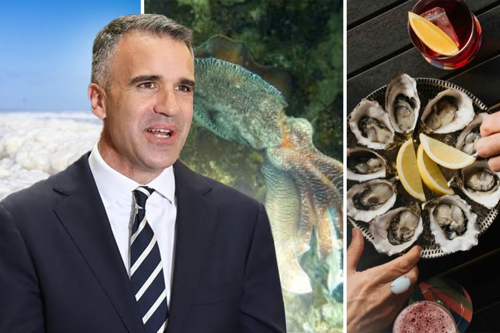 Bloom support plan swells to more than $100m ahead of summer