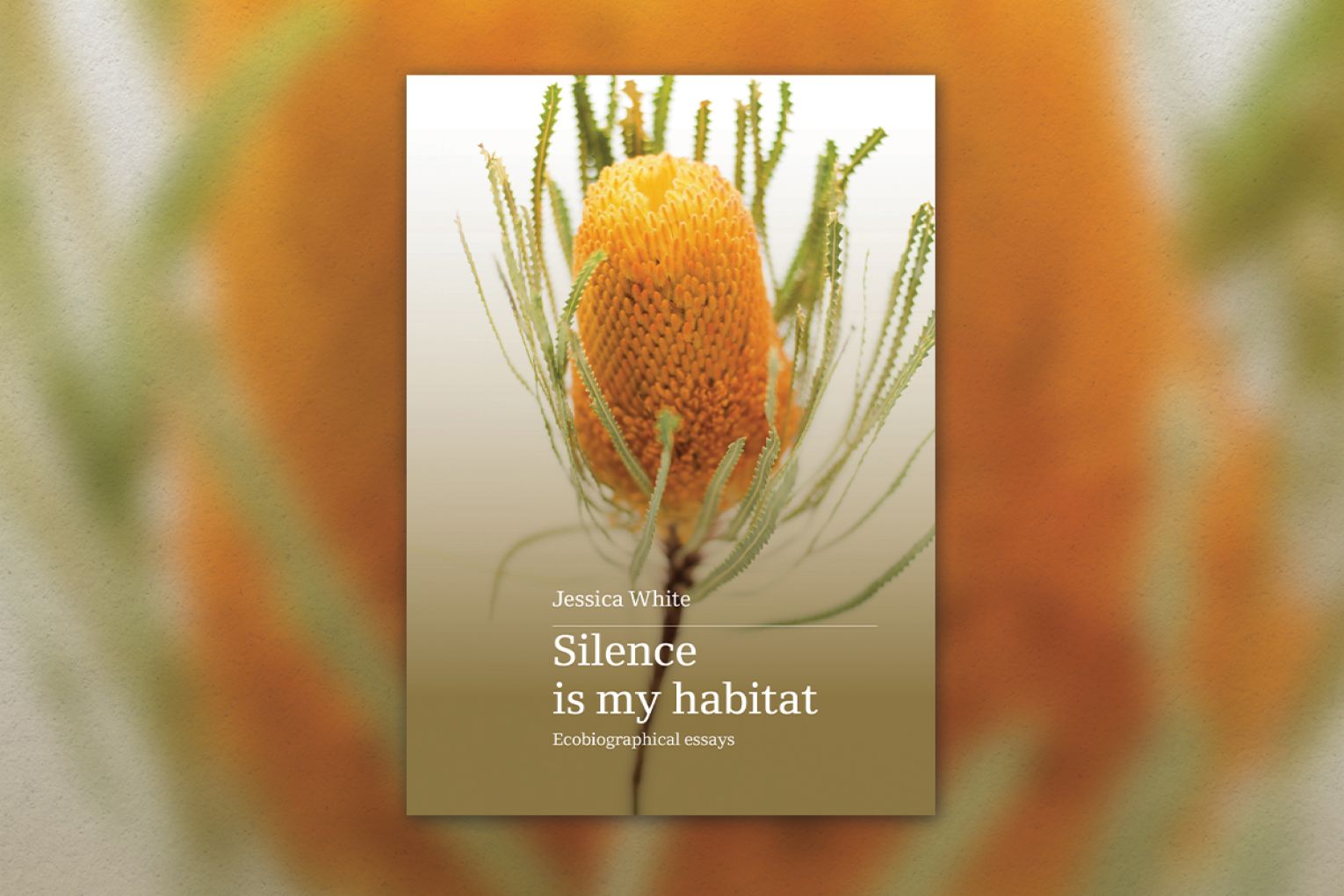 Thumbnail for Book review: Silence is my Habitat