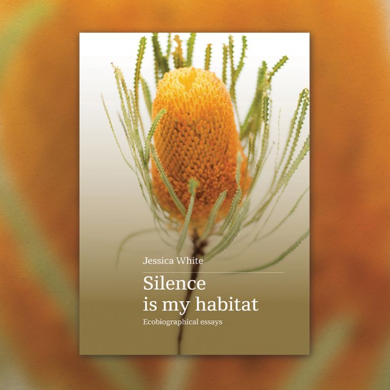 Thumbnail for Book review: Silence is my Habitat